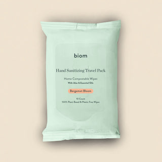 Hand Sanitizing Travel Pack Wipes (Casepack   40 Units)