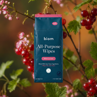 All Purpose Wipes   Wild Currant
