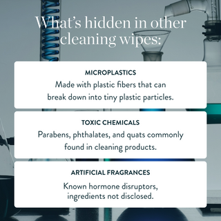 All Purpose Wipes   Wild Currant
