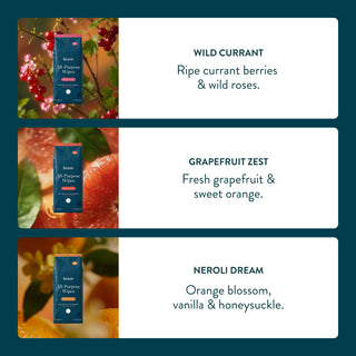 All Purpose Scent Discovery Bundle
