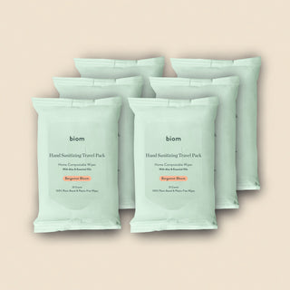 Hand Sanitizing Wipes   Travel Packs
