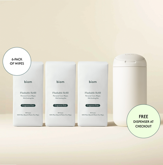 Standard Flushable Wipes Holiday
