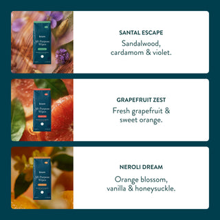 All Purpose Scent Discovery Set
