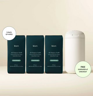 Standard All Purpose Wipes   Holiday
