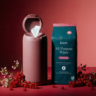 All Purpose Wipes   Wild Currant
