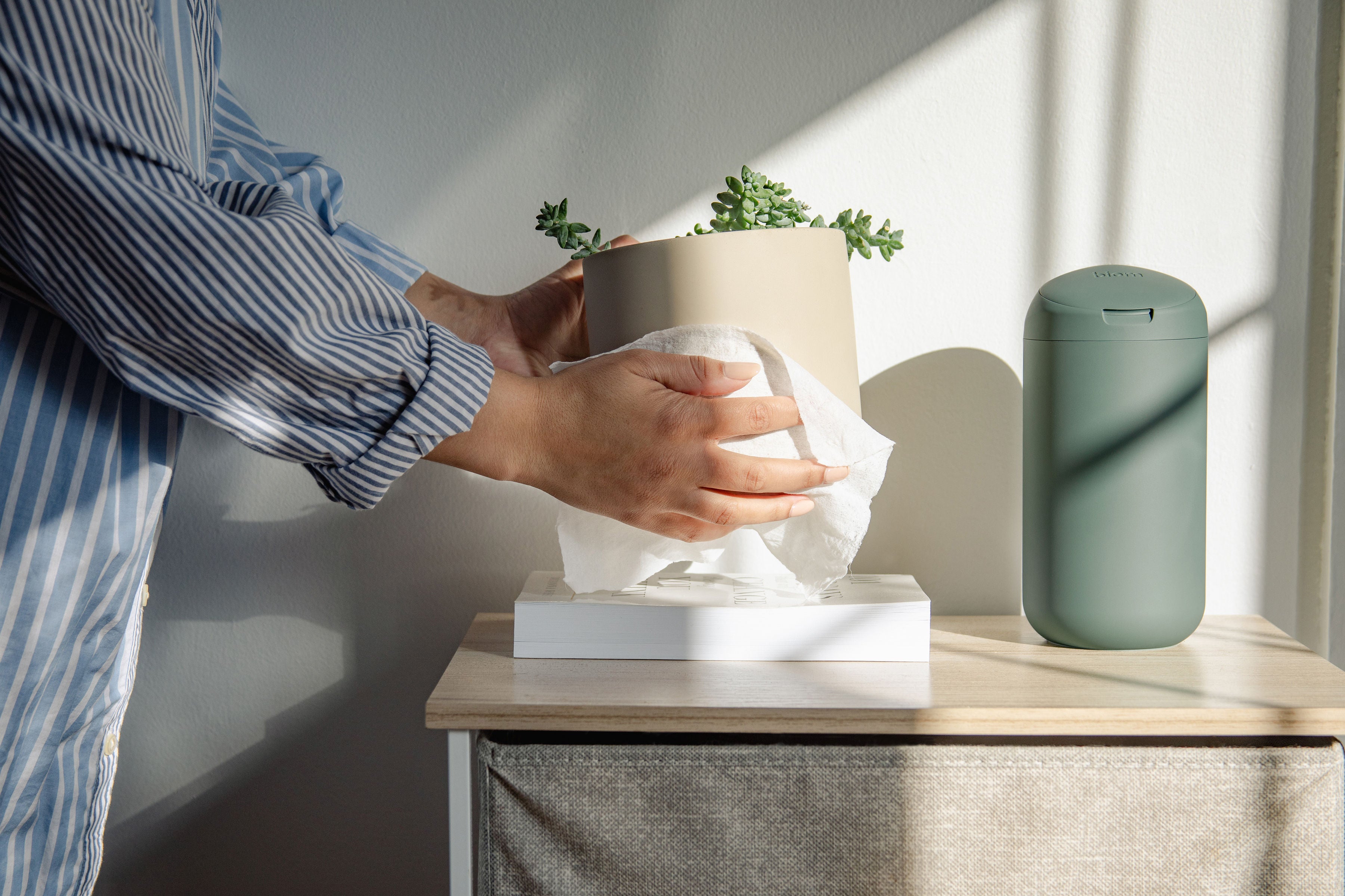 Standard All Purpose Wipes - Holiday