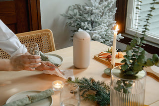 Limited Edition biom Holiday Bundle
