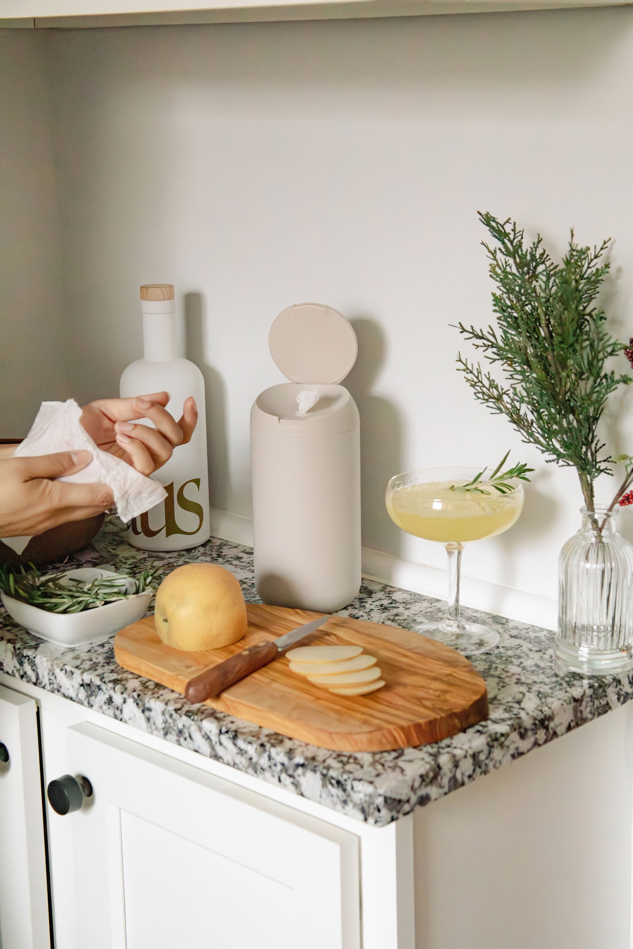 Standard All Purpose Wipes - Holiday