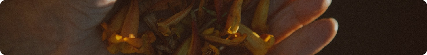 Safer Choice Approved Fragrance