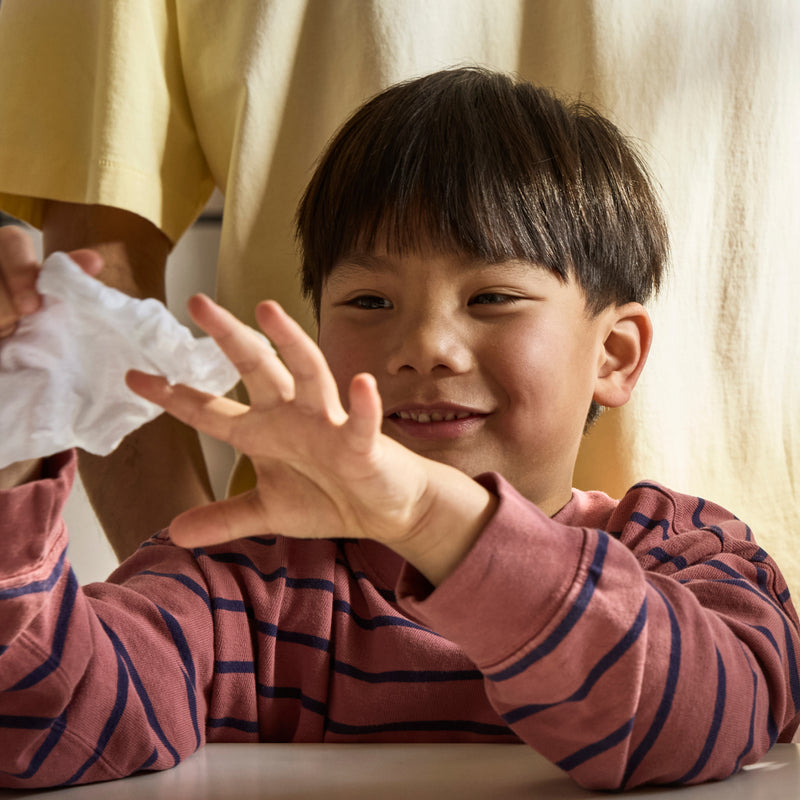 Hand Sanitizing Wipes